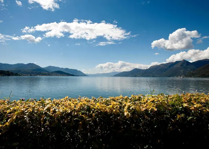 Dolce By Porta Collection